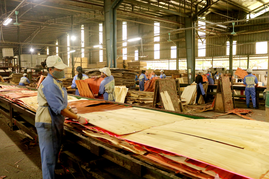Công nhân Nhà máy chế biến gỗ công nghiệp Vị Xuyên (Khu công nghiệp Bình Vàng) trong giờ làm việc.
