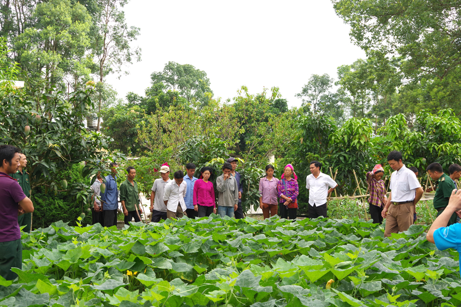 Cán bộ và nhân dân xã Bản Máy thăm mô hình trồng cây ăn quả tại Đồn Biên phòng Bản Máy.