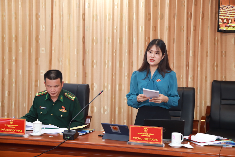 Đại biểu Vương Thị Hương tham gia ý kiến vào dự án Luật sửa đổi, bổ sung một số điều của Luật Thống kê