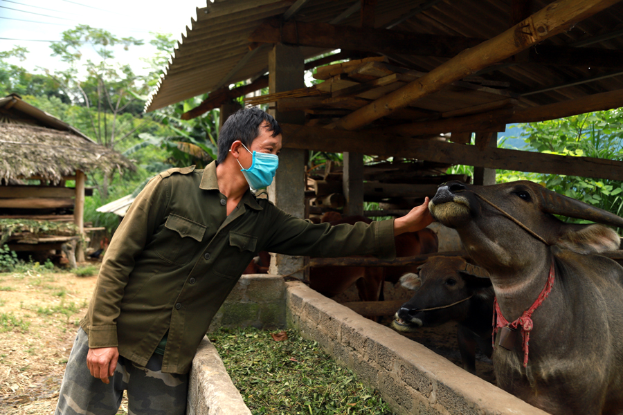 Anh Hầu Mí Xay, thôn Bản Bó, xã Yên Định (Bắc Mê) vui mừng khi được vay 95 triệu đồng của Ngân hàng CSXH để nuôi trâu bò và trồng rừng.