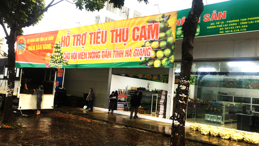 Hội Nông dân tỉnh Lai Châu tiêu thụ cam Vàng giúp nông dân tỉnh Hà Giang. (Ảnh CTV)