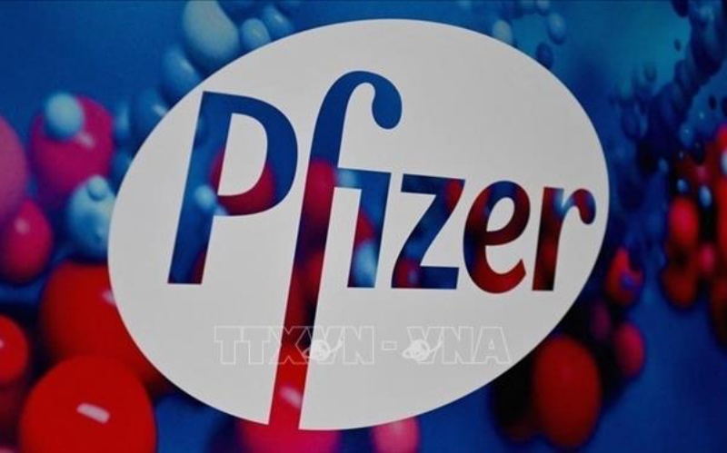 Biểu tượng hãng dược phẩm Pfizer (Mỹ). 