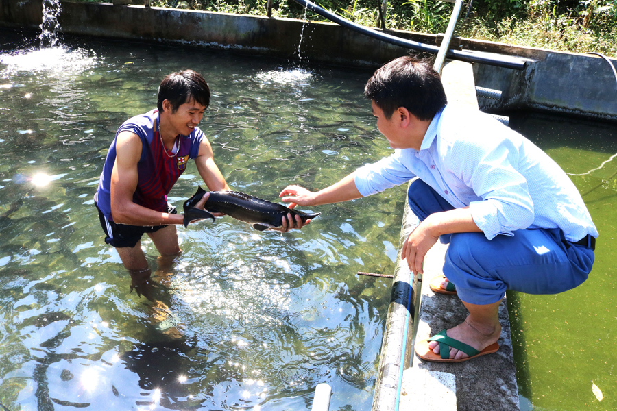 Mô hình nuôi cá Tầm tại thôn Bản Thăng.