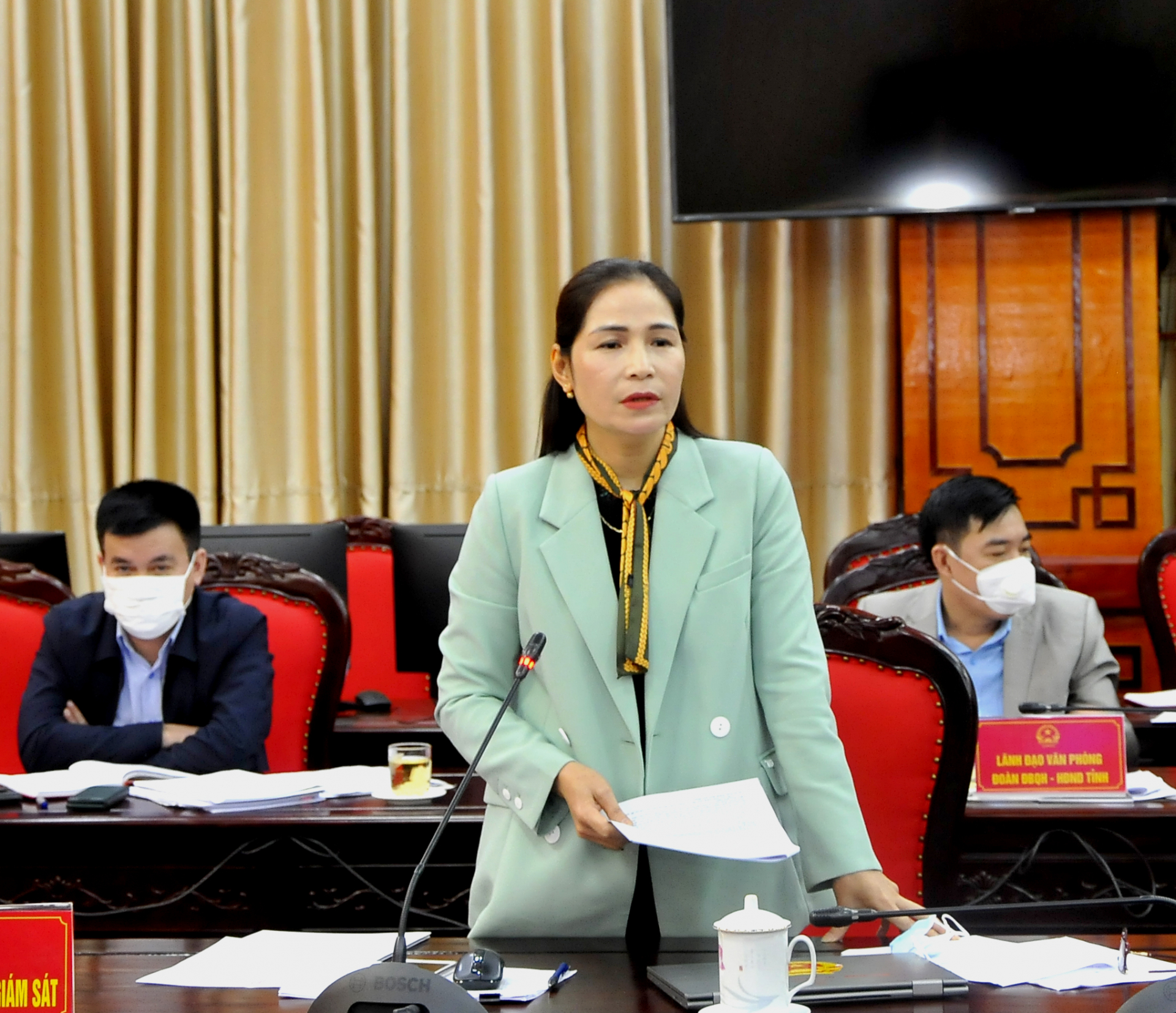 Trưởng Ban Kinh tế - Ngân sách HĐND tỉnh Phạm Thị Hồng Yên kiến nghị việc giao chỉ tiêu kế hoạch cho các huyện cần có sự thống nhất, đồng bộ để điều hành một cách hiệu quả.