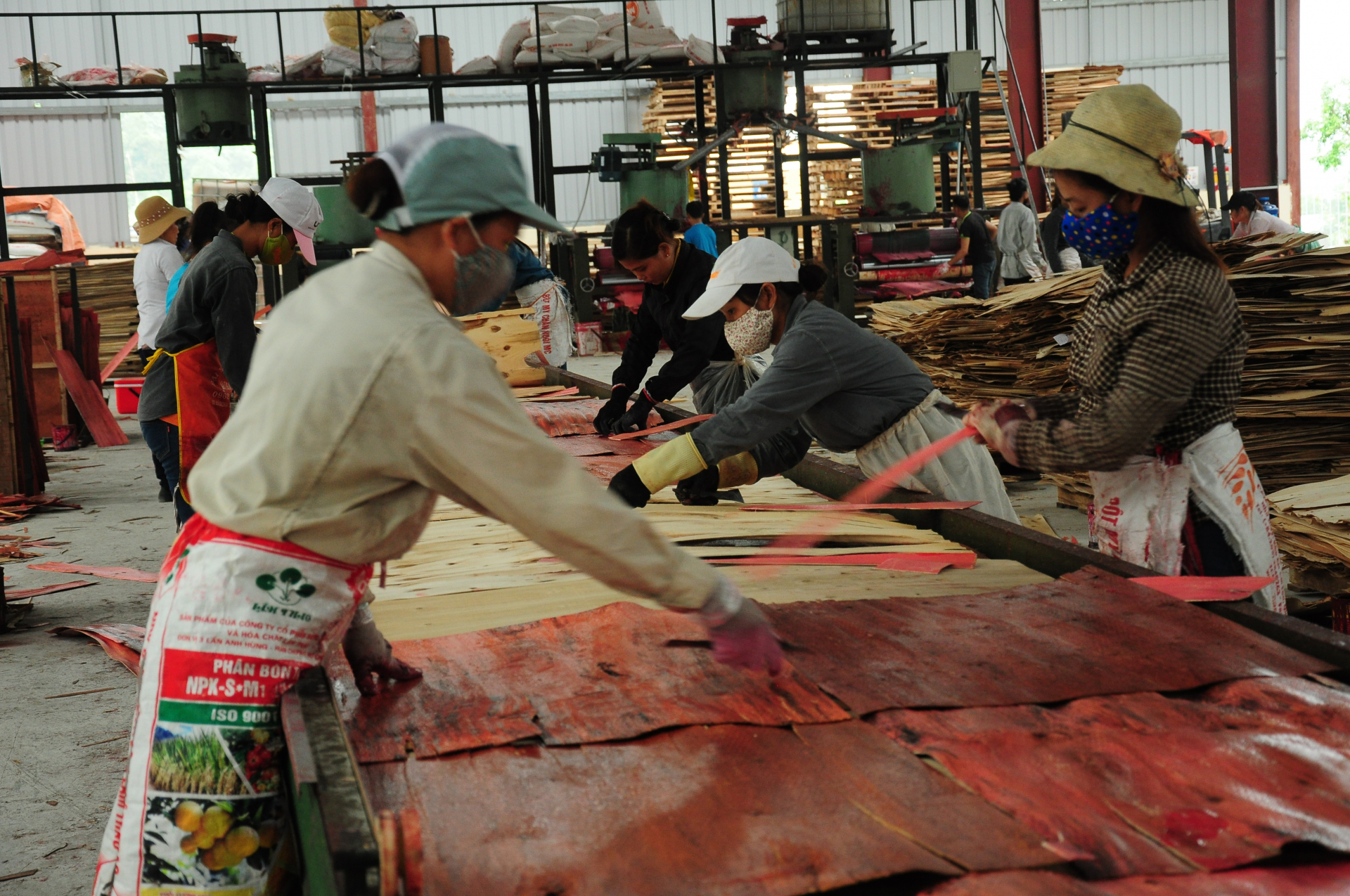 Công nhân Nhà máy ván ép xuất khẩu Đông Huy (Cụm công nghiệp Nam Quang) tăng ca sản xuất.