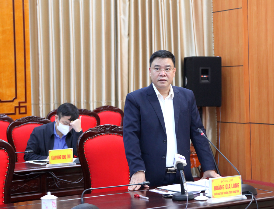 Phó Chủ tịch Thường trực UBND tỉnh Hoàng Gia Long phát biểu chỉ đạo hội nghị.