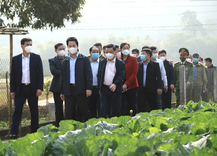 Bí thư Tỉnh ủy Đặng Quốc Khánh cùng đoàn công tác kiểm tra cải tạo vườn tạp tại thôn Yên Thượng, xã Vĩ Thượng