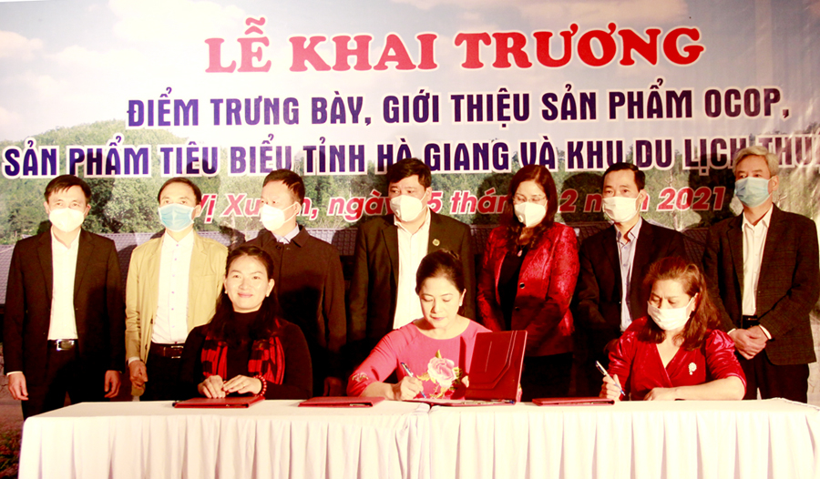Ký kết hợp đồng bao tiêu sản phẩm giữa HTX Thuận Hòa (Vị Xuyên) và các đơn vị sản xuất.