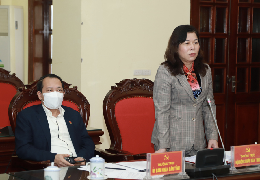 Phó Chủ tịch Thường trực HĐND tỉnh Chúng Thị Chiên tham gia ý kiến tại hội nghị