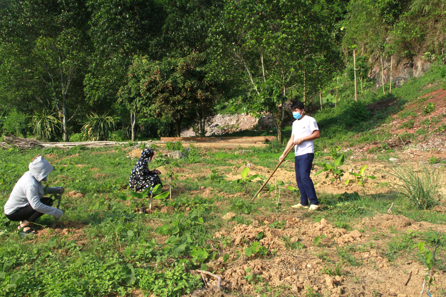 Cán bộ Trung tâm Khuyến nông tỉnh hướng dẫn người dân xã Ngọc Đường (thành phố Hà Giang) kỹ thuật trồng và chăm sóc cây na để cải tạo vườn tạp.