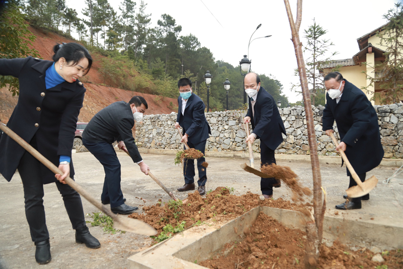 Lãnh đạo Báo Hà Giang, Đài PT-TH tỉnh và Huyện Đồng Văn trồng cây tại khuôn viên của huyện