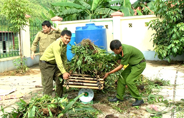Tổ công tác liên ngành tiến hành thu giữ các sản phẩm lâm sản rừng được bày bán tại chợ Trung tâm huyện.