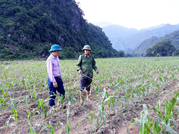 Lãnh đạo xã Tùng Bá (Vị Xuyên) hướng dẫn người dân thôn Hồng Minh phòng trừ sâu keo mùa thu.                                  Ảnh: MỘC LAN