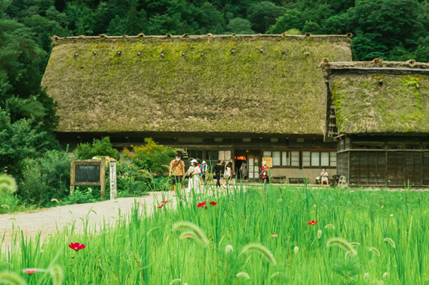 Điểm du lịch chính ở làng cổ Shirakawa là Ogimachi, ngôi nhà lớn nhất của khu làng cổ. Những ngôi nhà ở đây được xây dựng từ khoảng 300 năm trước và hàng năm đều được tu sửa để giữ nguyên được dáng vẻ.