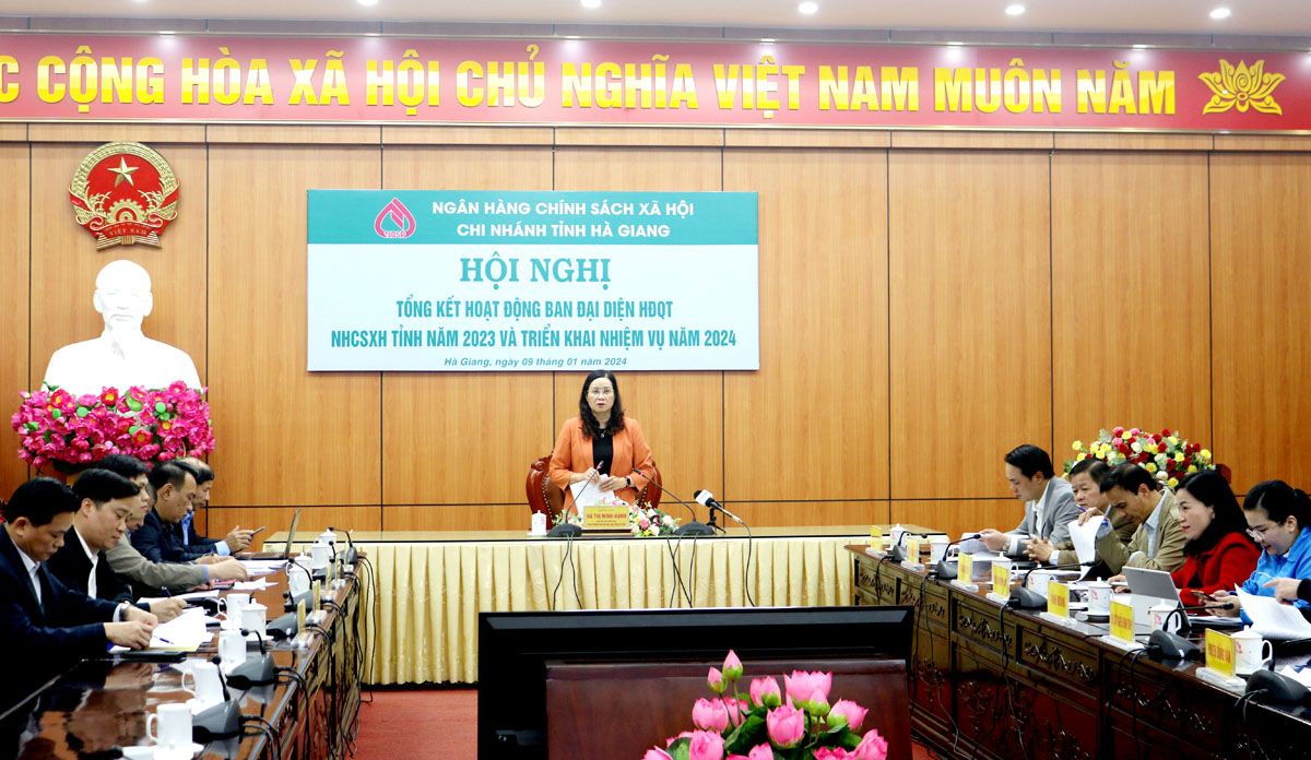 Phó Chủ tịch UBND tỉnh Hà Thị Minh Hạnh kết luận hội nghị.