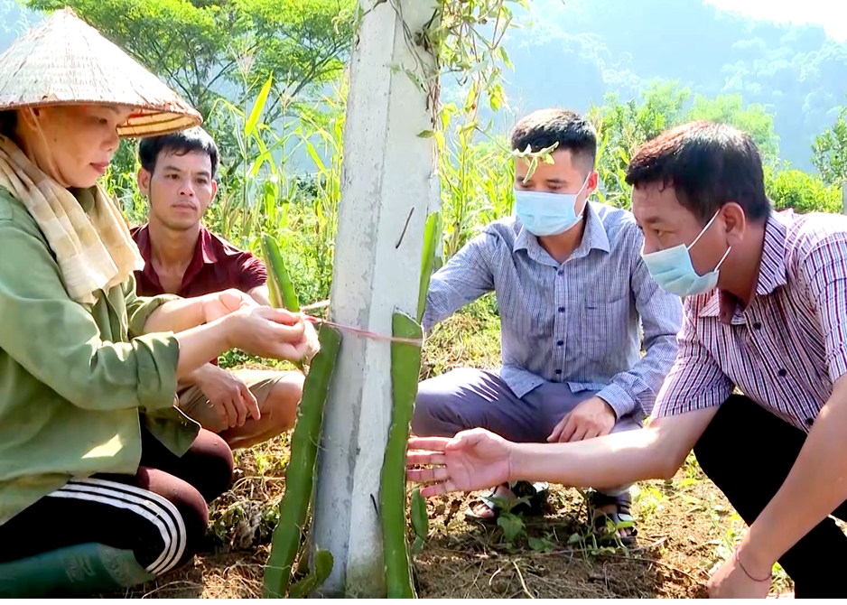 Cán bộ xã Hùng An (Bắc Quang) hướng dẫn người dân trồng cây ăn quả 