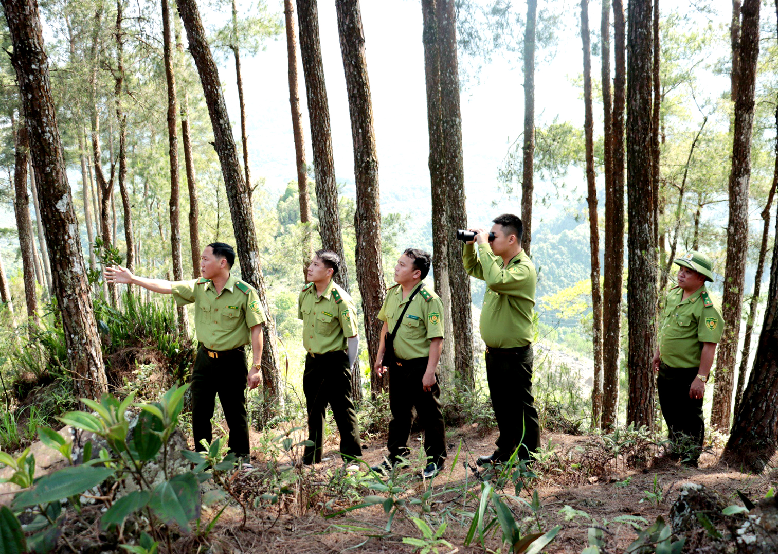 Lực lượng Kiểm lâm huyện Mèo Vạc tuần tra, bảo vệ rừng.                                                                Ảnh: Trần Kế
