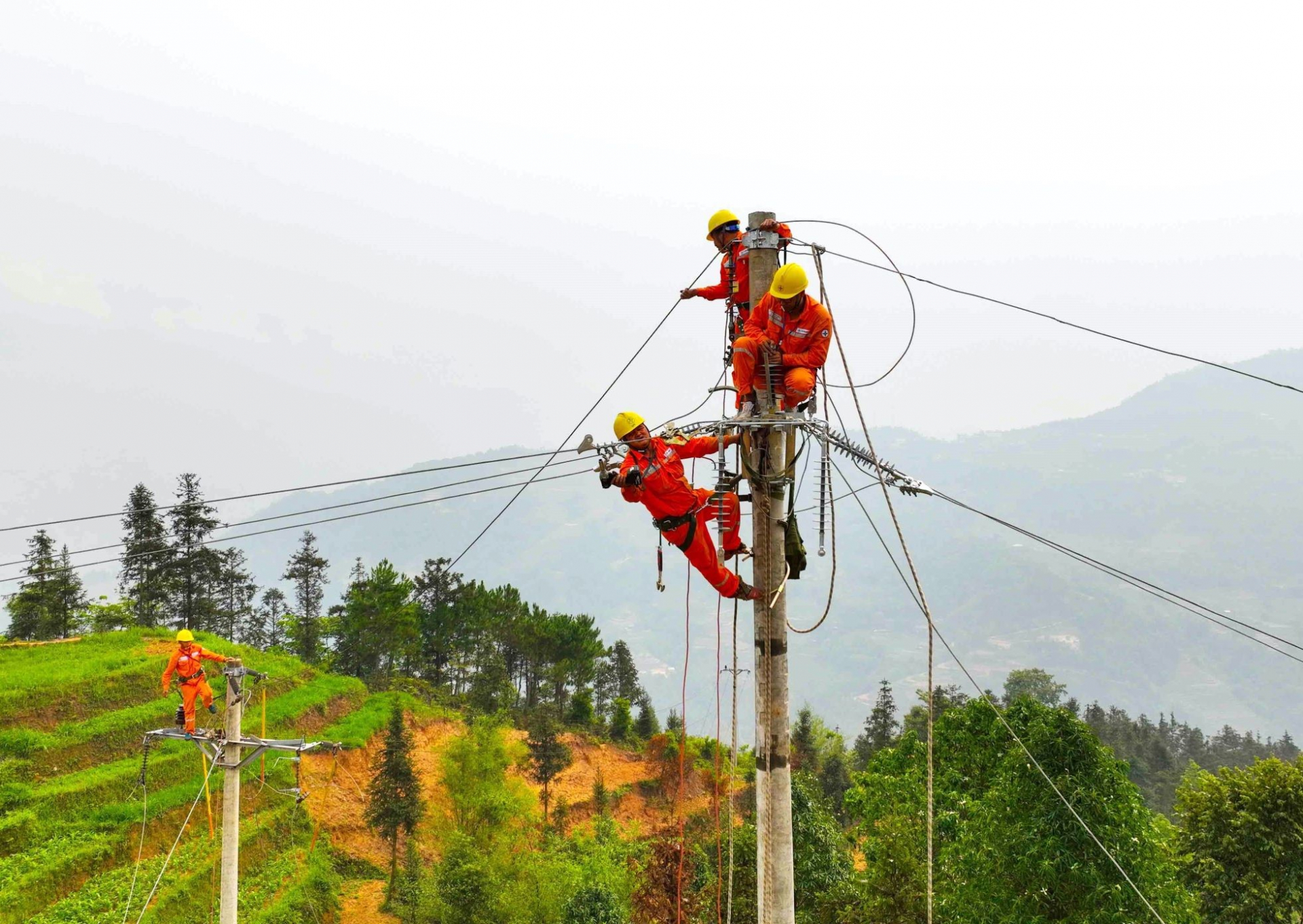 Nhân viên Điện lực huyện Hoàng Su Phì kiểm tra an toàn hành lang lưới điện. Ảnh: Yên Hoa