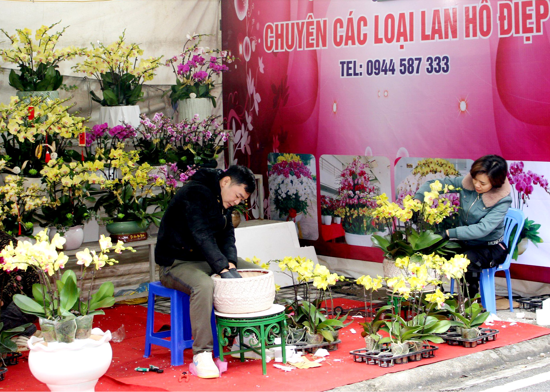 Chủ cửa hàng hoa tại đường Lâm Đồng, phường Trần Phú, thành phố Hà Giang đang chuẩn bị những bình hoa đẹp nhất cho khách.