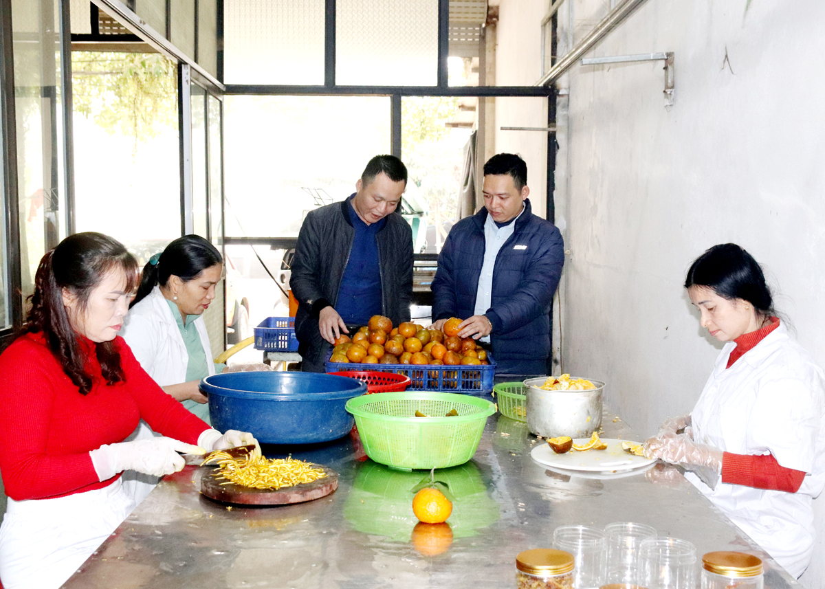 Cán bộ Phòng Kinh tế và Hạ tầng Bắc Quang khảo sát kết quả chế biến cam Sành tại Công ty Cổ phần Cam Ta (xã Đông Thành).