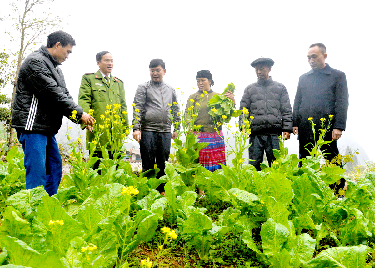 Lãnh đạo xã Lũng Chinh (Mèo Vạc) thăm mô hình cải tạo vườn tạp của gia đình chị Thào Thị Mỷ thôn Sủng Lủ .