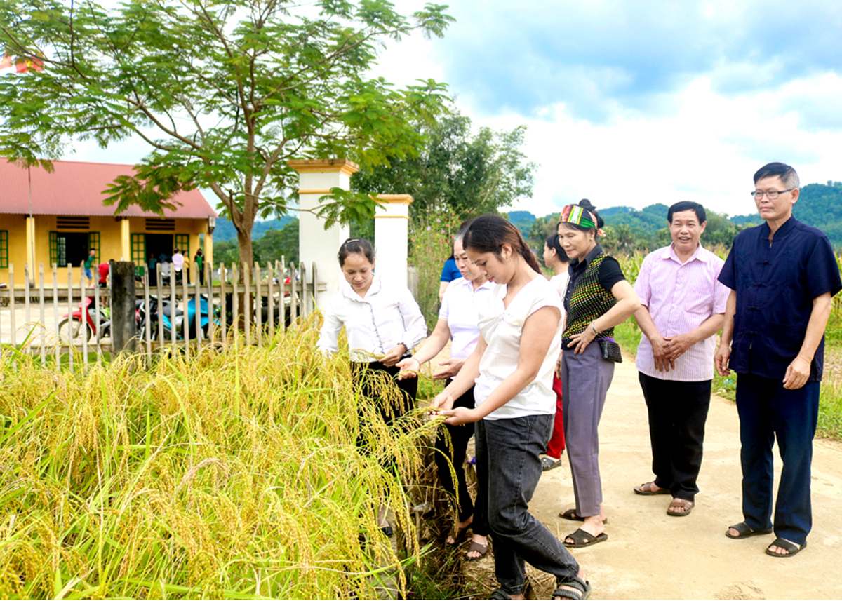 Đảng viên Chi bộ thôn Trung Thành, xã Vĩ Thượng chia sẻ kinh nghiệm phát triển kinh tế.
