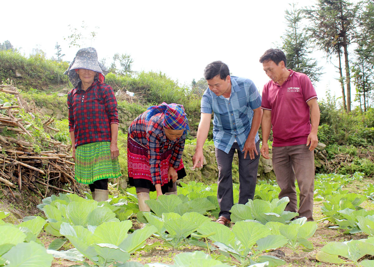 Lãnh đạo xã Thàng Tín hướng dẫn người dân chăm sóc rau vụ Đông.