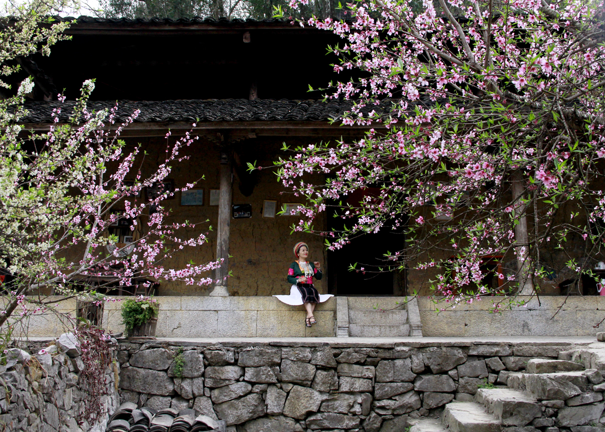 Nhà cổ Lao Xa homestay của anh Vàng Mí Hồng là điểm đến hấp dẫn của nhiều du khách vào mùa Xuân.