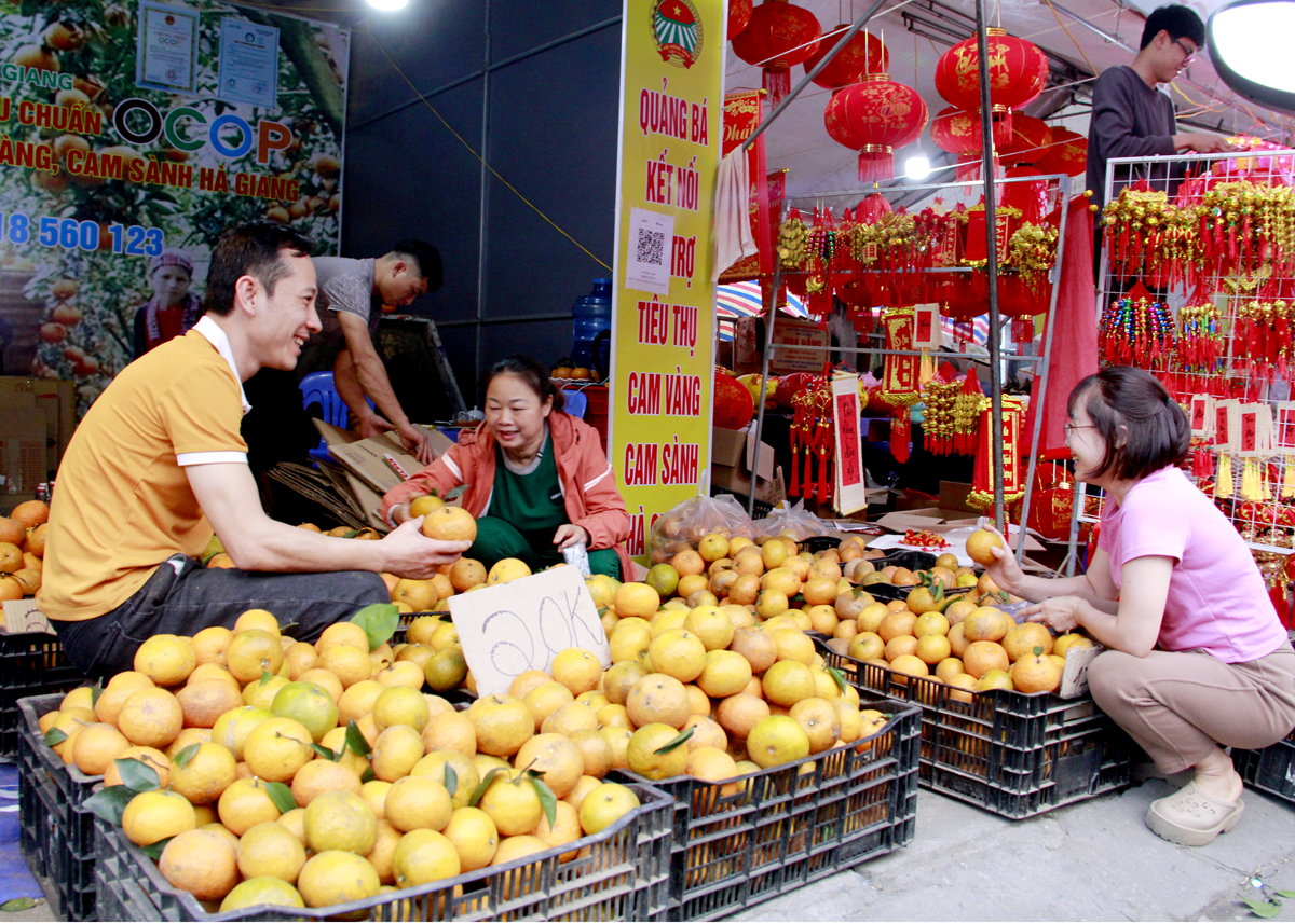 Người dân chọn mua cam Sành tại điểm bán cam VietGAP, OCOP của Hội Nông dân tỉnh.