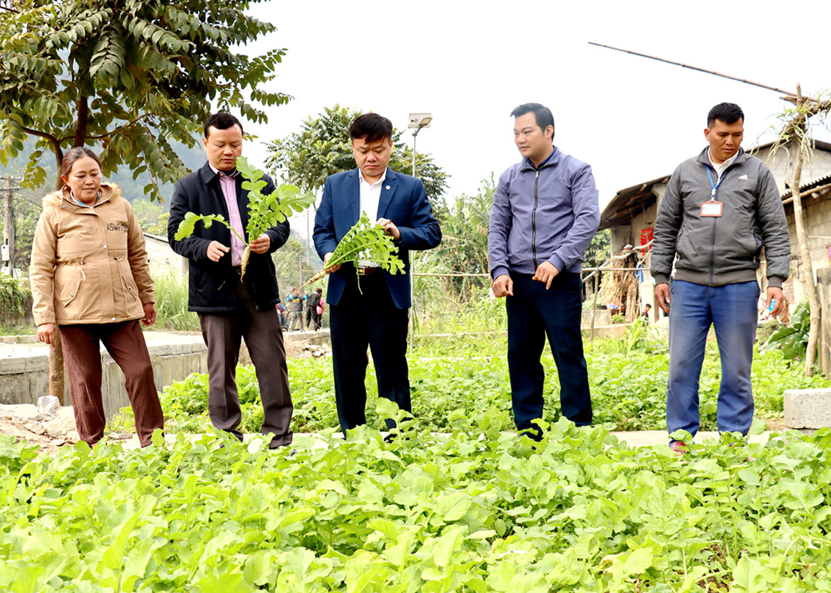 Chủ tịch UBND huyện Mèo Vạc Nguyễn Huy Sắc thăm mô hình cải tạo vườn tạp của các gia đình xã Sủng Trà có con em đi lao động ngoài tỉnh.