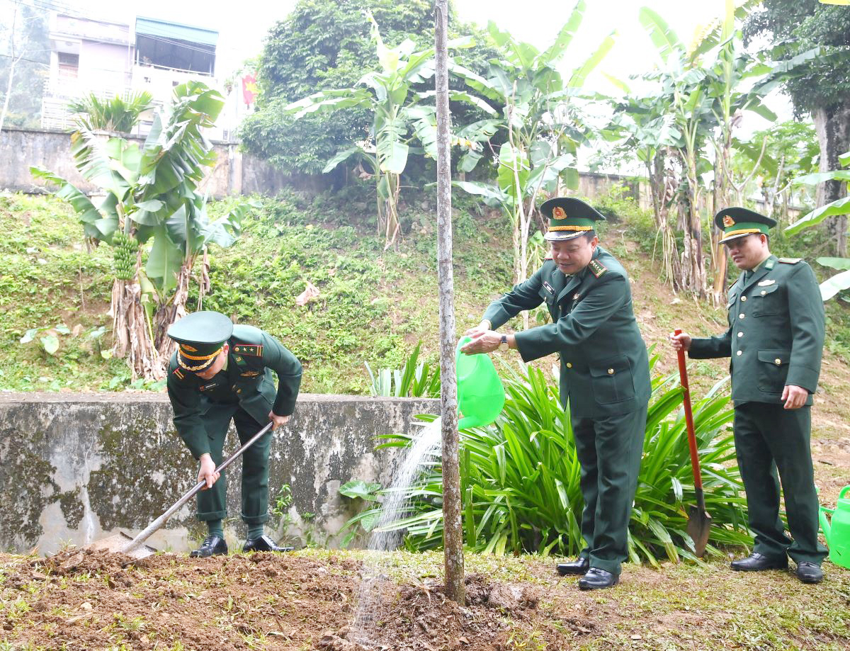 Lãnh đạo Bộ Chỉ huy BĐBP tỉnh tham gia trồng cây.