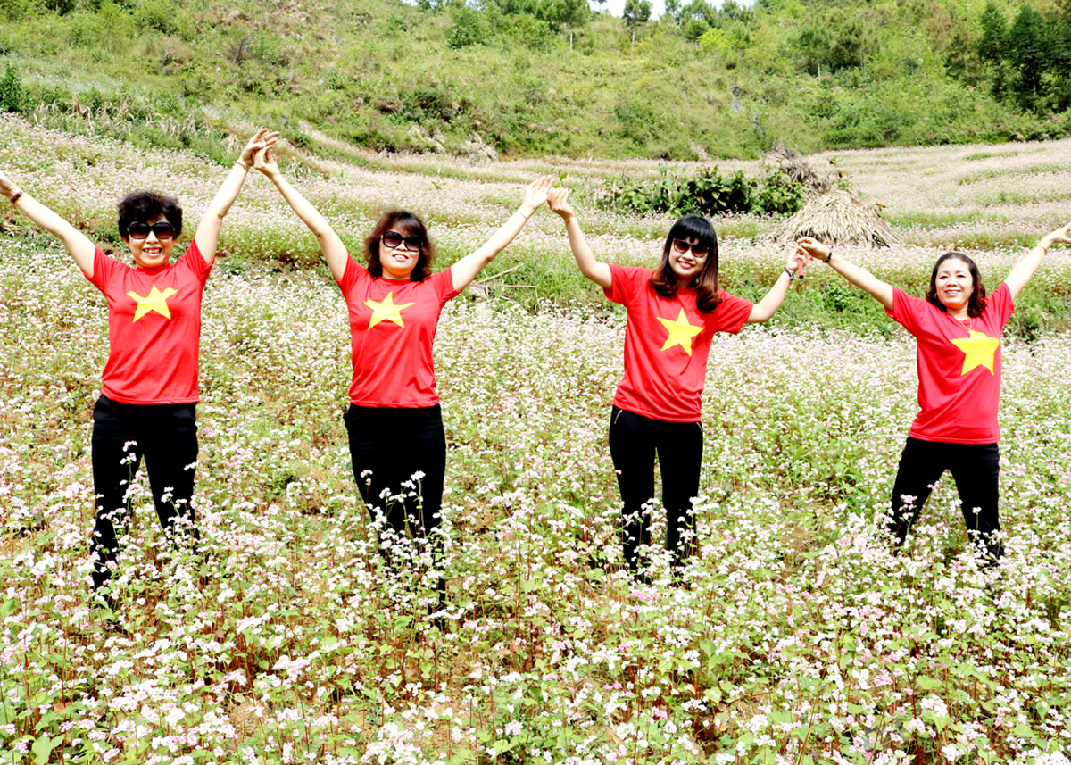 Khách du lịch trên cánh đồng hoa Tam giác mạch ở Đồng Văn.                                       Ảnh: L.H
