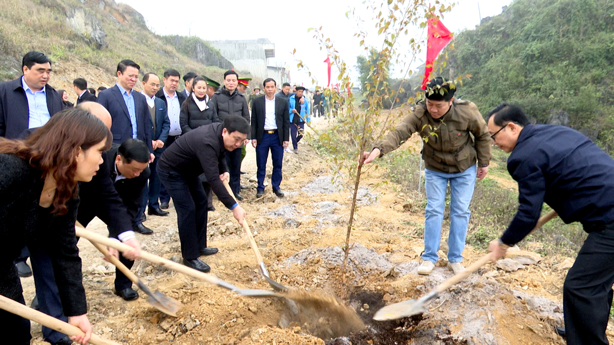 Các đồng chí lãnh đạo tỉnh trồng cây Mai anh đào tại xã Lũng Cú, huyện Đồng Văn