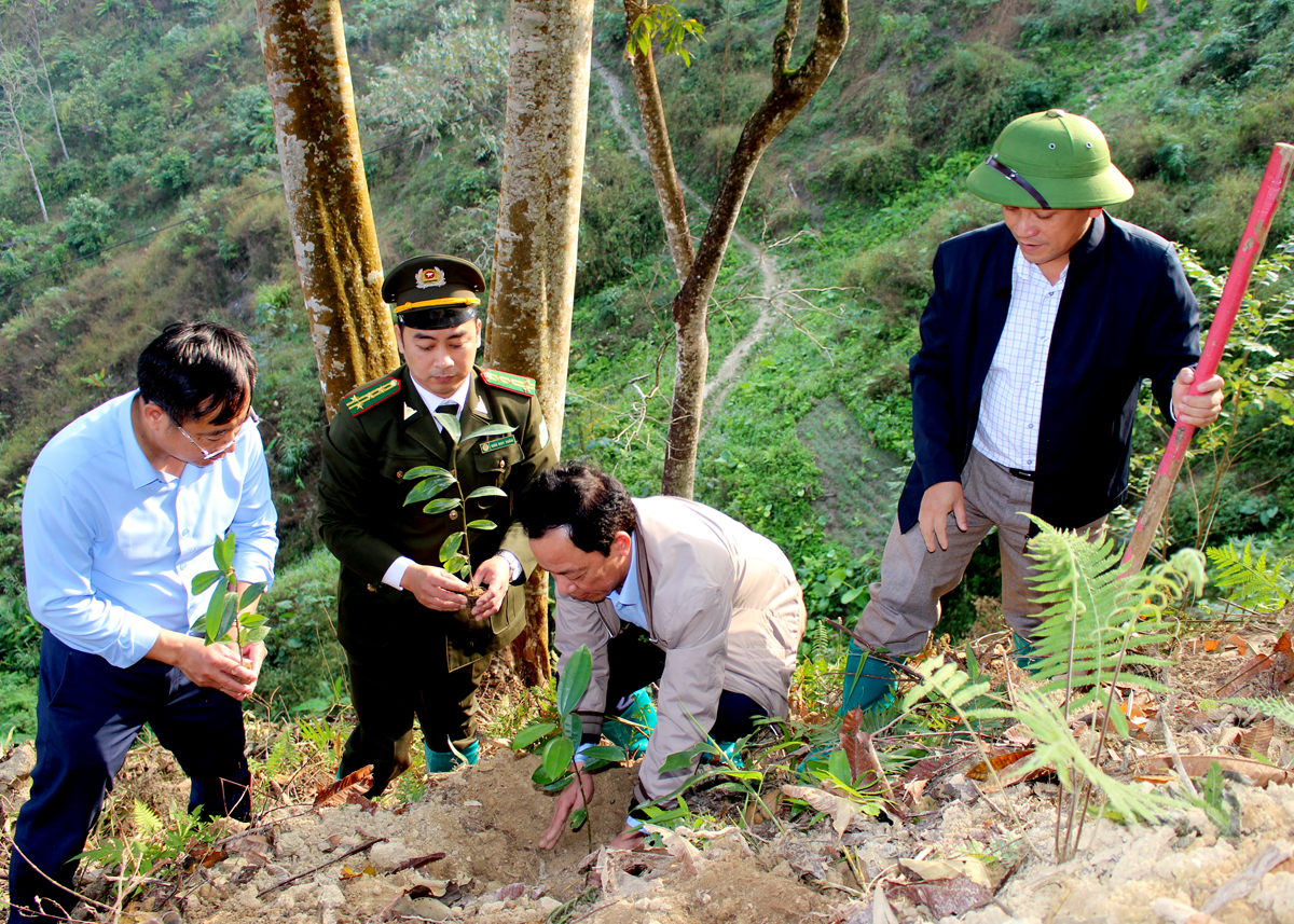 Các đại biểu tham gia trồng cây.