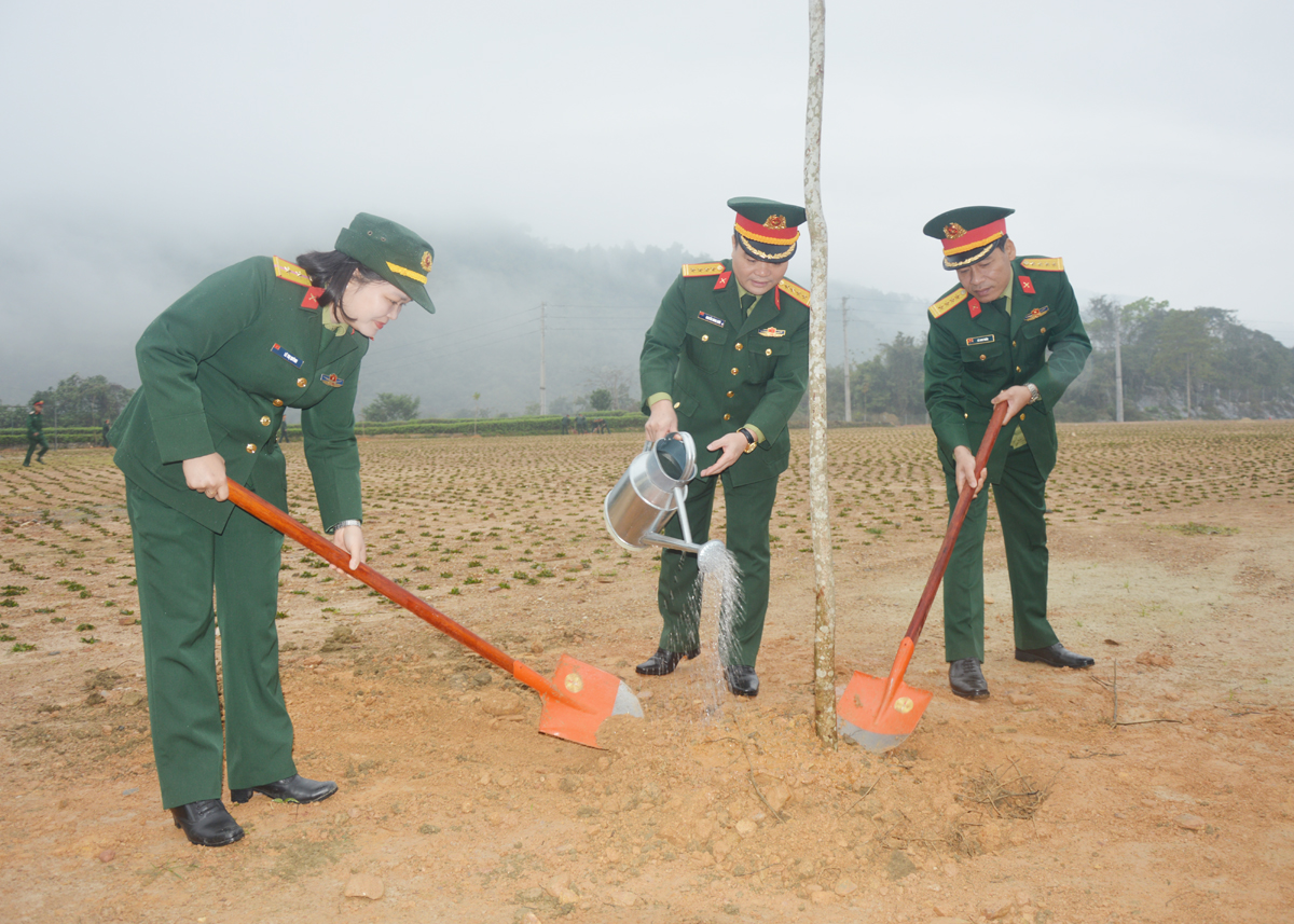 Lãnh đạo Bộ CHQS tỉnh trồng cây xung quanh doanh trại.