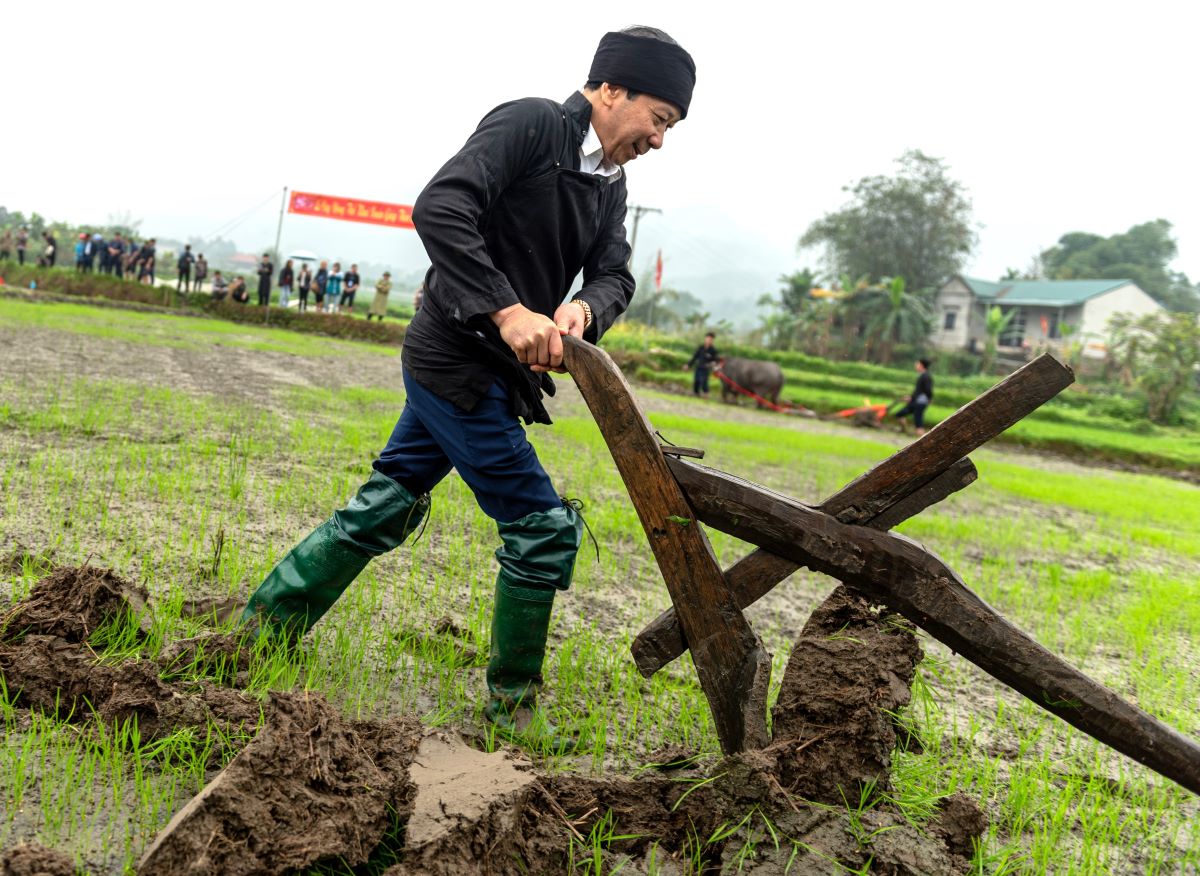 Đồng chí Trần Đức Quý, Phó Chủ tịch UBND tỉnh thực hiện nghi thức cày “Tịch điền” tại cánh đồng thôn Việt Vinh, xã Việt Vinh ( Bắc Quang). 