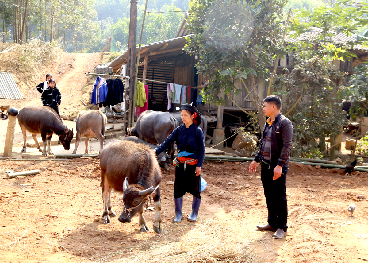 Anh Vương Văn Ương thăm hỏi tình hình phát triển chăn nuôi của bà con.