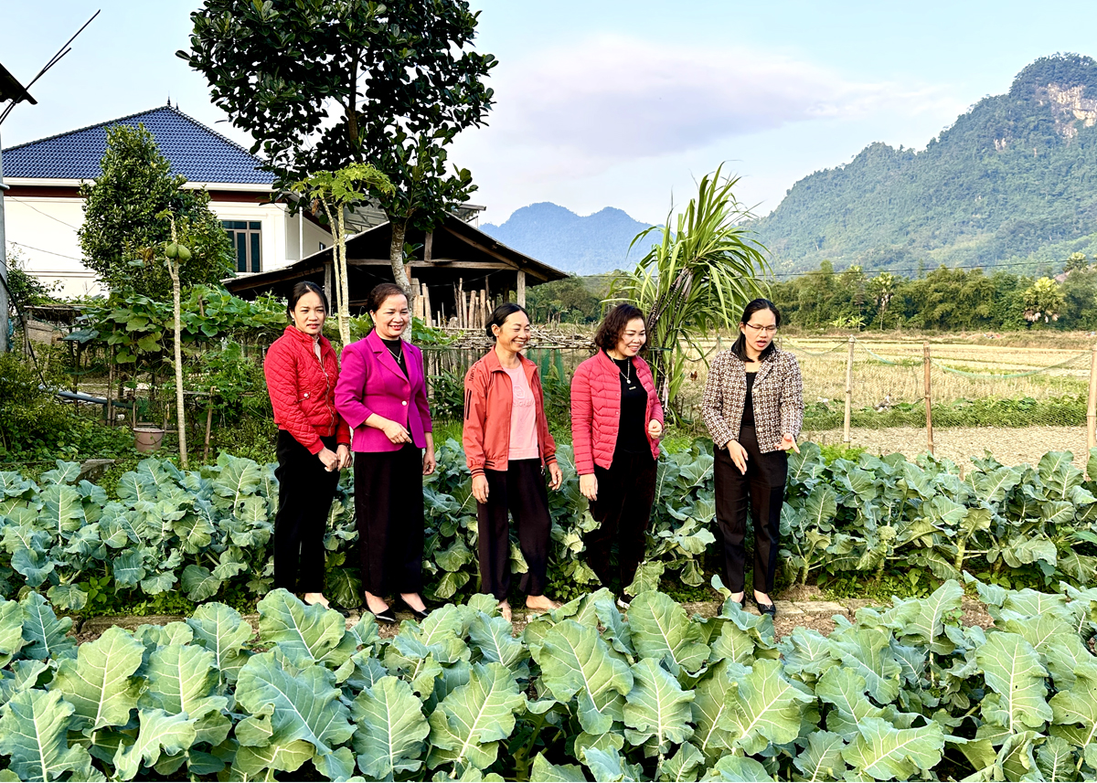 Cán bộ Hội Liên hiệp Phụ nữ huyện Vị Xuyên tham quan vườn rau dinh dưỡng của hội viên xã Đạo Đức.