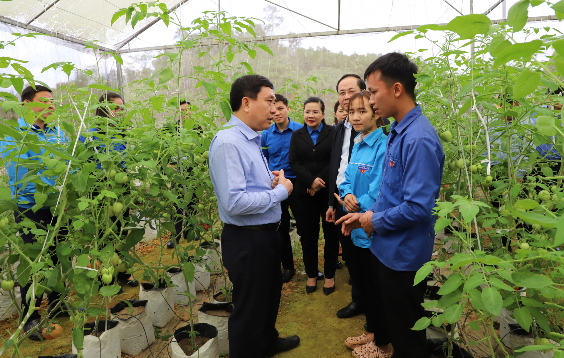 Quyền Bí thư Tỉnh ủy Nguyễn Mạnh Dũng thăm mô hình trồng rau, quả nhà lưới của đoàn viên Nguyễn Thanh Chúc, thôn Bế Triều, xã Quang Minh (Bắc Quang).
