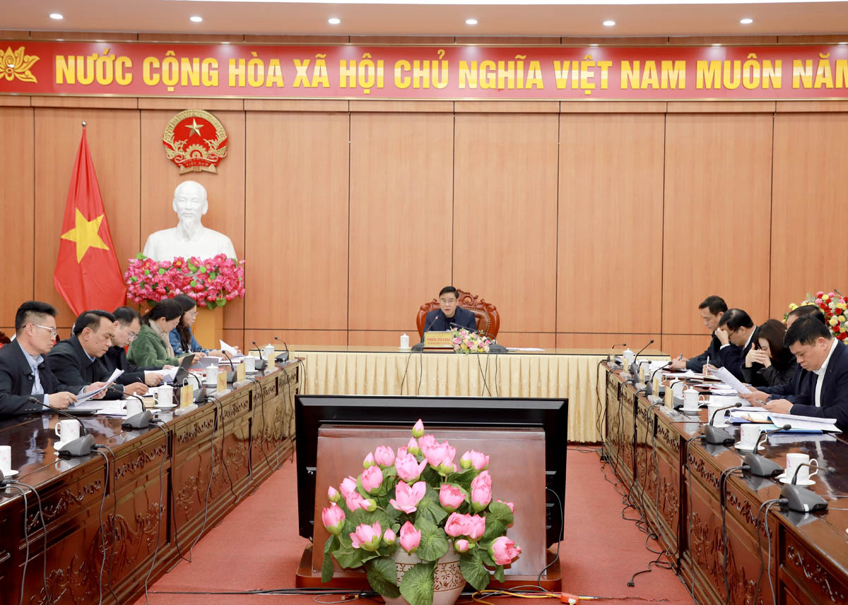 Permanent Vice Chairman of the Provincial Peoples Committee Hoang Gia Long chairs the meeting. 