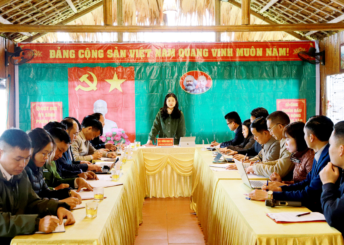Phó Chủ tịch UBND tỉnh Vương Ngọc Hà phát biểu kết luận buổi làm việc.
