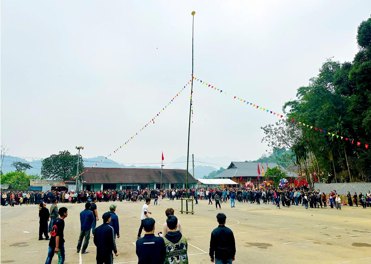 Vui hội tung còn.