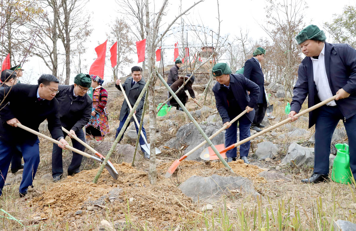 Standing members of the Provincial Party Committee participate in tree-planting at the Northernmost point, Lung Cu commune.