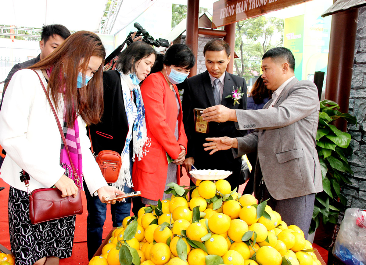 Promoting Ha Giang oranges in Hanoi.