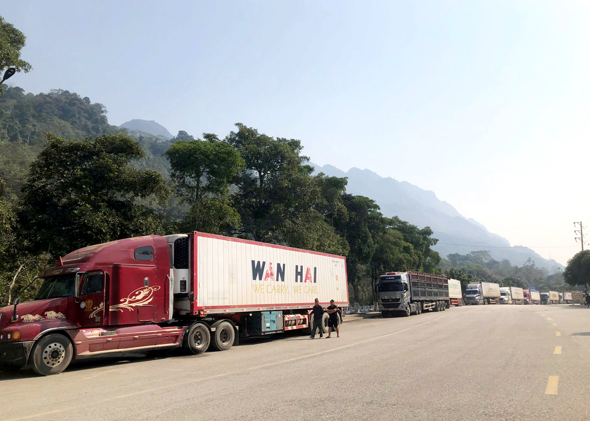 Trucks transporting goods for export at Thanh Thuy International Border Gate in early 2025.