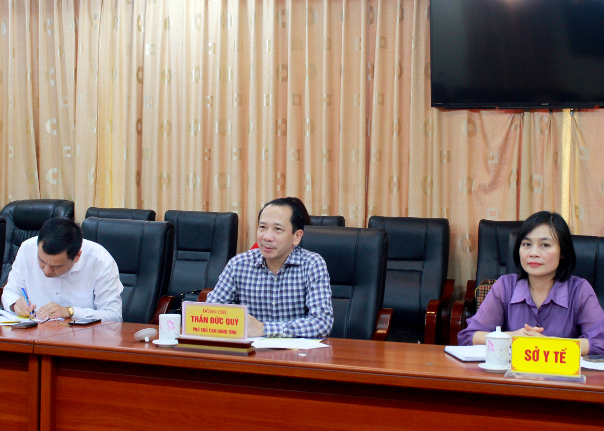 Phó Chủ tịch UBND tỉnh Trần Đức Quý phát biểu tại buổi làm việc
