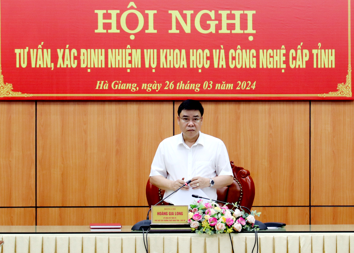 Phó Chủ tịch Thường trực UBND tỉnh Hoàng Gia Long kết luận hội nghị.
