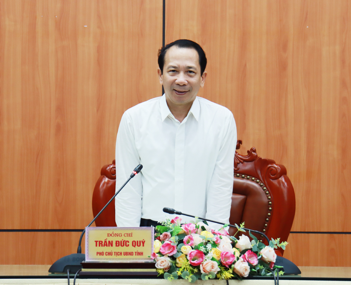 Phó Chủ tịch UBND tỉnh Trần Đức Quý phát biểu tại cuộc họp.