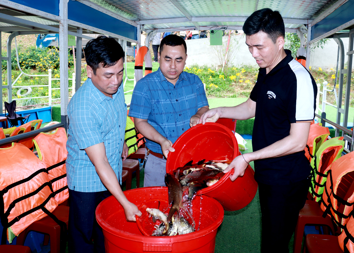 Lãnh đạo Chi cục Chăn nuôi và Thú y tỉnh kiểm tra chất lượng cá giống trước khi thả xuống lòng hồ.