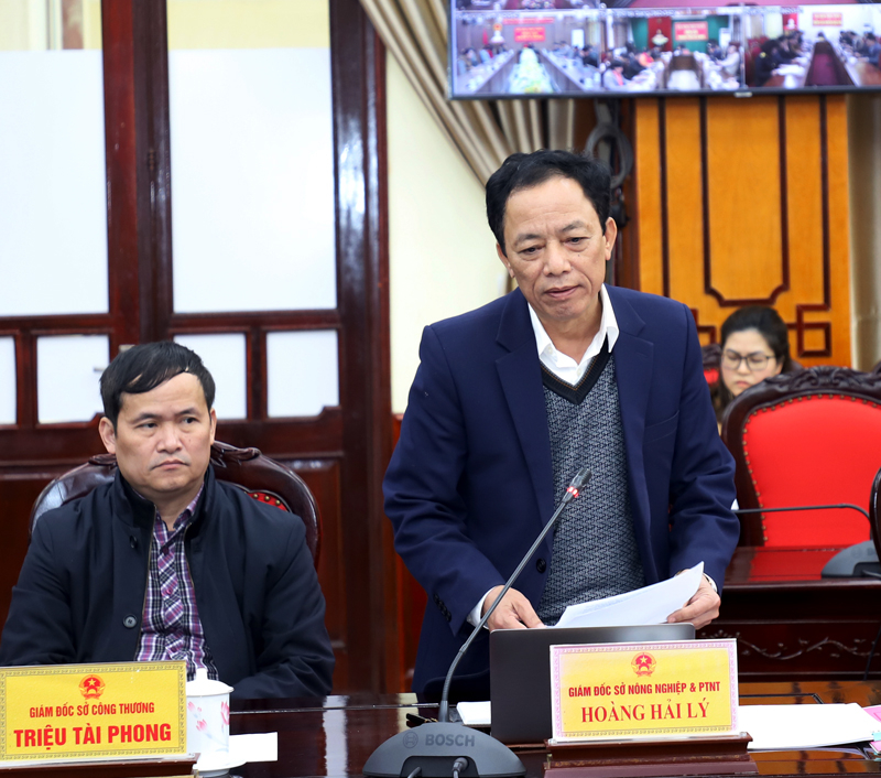 Giám đốc Sở Nông nghiệp và PTNT Hoàng Hải Lý báo cáo công tác gieo trồng vụ Xuân 2024.